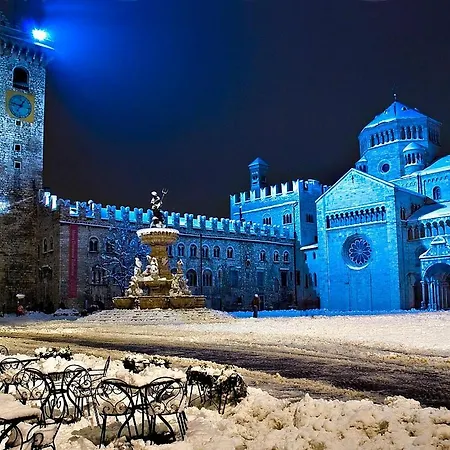 Apartment Free Parking-historical Luxury Palace- View-free Wifi&pet Friendly Trento